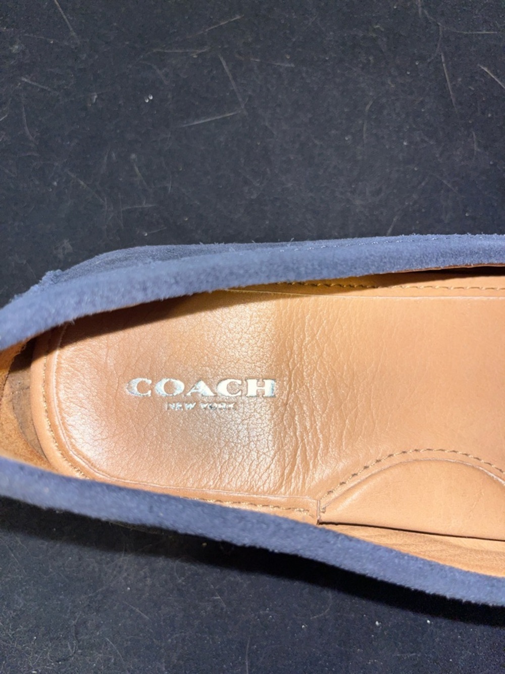 COACH ARLENE MOCCASIN NAVY BLUE SUEDE LOAFER WITH SILVRT HORSEBIT SIZE 8 - Picture 5 of 7